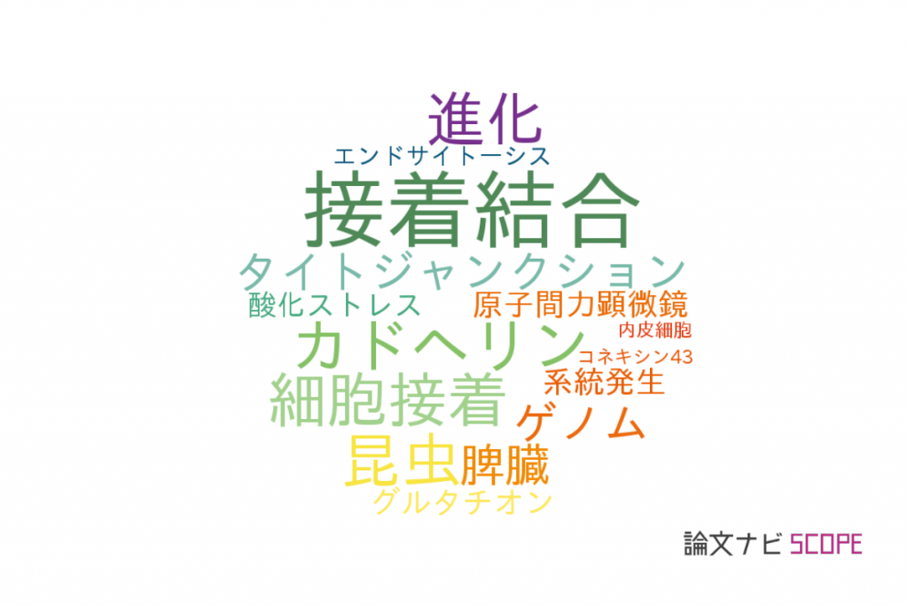 【論文データ】adherens junctions（接着結合）の国内研究動向まとめ 【論文紹介サイト】論文ナビ