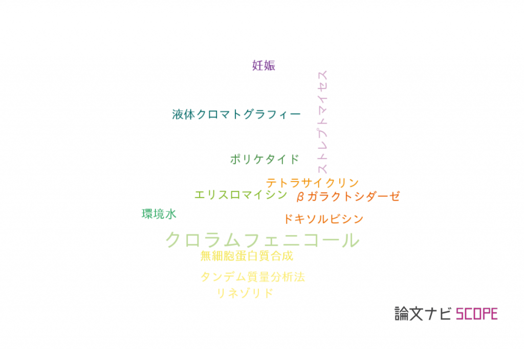 クロラムフェニコールのリーフレット