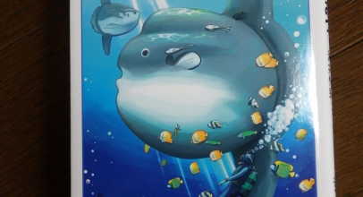 水族館に行く人はこれを読め! 約200年ぶりに出版された現世で一番詳しいマンボウの本「マンボウのひみつ」