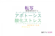 【論文データ】兵庫医科大学の物理分野の研究動向まとめ