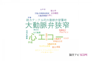 【論文データ】東京ベイ・浦安市川医療センターの心血管系 / 心臓病分野の研究動向まとめ