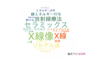 【論文データ】首都大学東京の原子力工学分野の研究動向まとめ