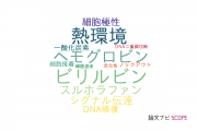 【論文データ】関西医科大学の物理分野の研究動向まとめ