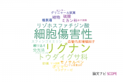 【論文データ】安田女子大学の化学分野の研究動向まとめ
