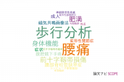 【論文データ】愛知医科大学の整形外科学分野の研究動向まとめ