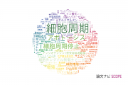 【論文データ】cell cycle（細胞周期）の国内研究動向まとめ