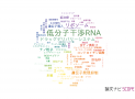 【論文データ】siRNA（低分子干渉RNA）の国内研究動向まとめ