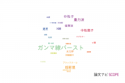 【論文データ】gamma-ray burst（ガンマ線バースト）の国内研究動向まとめ