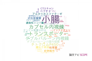 【論文データ】small intestine（小腸）の国内研究動向まとめ