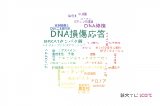 【論文データ】DNA damage response（DNA損傷応答）の国内研究動向まとめ