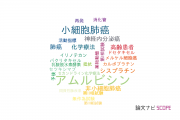【論文データ】amrubicin（アムルビシン）の国内研究動向まとめ