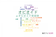 【論文データ】opioid（オピオイド）の国内研究動向まとめ