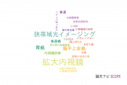 【論文データ】magnifying endoscopy（拡大内視鏡）の国内研究動向まとめ