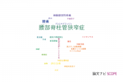 【論文データ】lumbar spinal stenosis（腰部脊柱管狭窄症）の国内研究動向まとめ