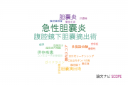 【論文データ】cholecystitis（胆嚢炎）の国内研究動向まとめ