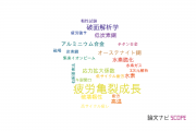 【論文データ】fatigue crack growth（疲労亀裂成長）の国内研究動向まとめ