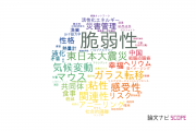 【論文データ】vulnerability（脆弱性）の国内研究動向まとめ