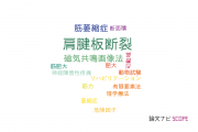 【論文データ】rotator cuff tear（肩腱板断裂）の国内研究動向まとめ