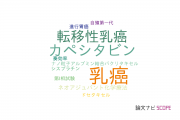 【論文データ】HER2-negativeの国内研究動向まとめ