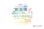 【論文データ】cross-sectional area（断面積）の国内研究動向まとめ