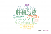 【論文データ】contrast-enhanced ultrasonographyの国内研究動向まとめ