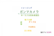 【論文データ】gamma camera（ガンマカメラ）の国内研究動向まとめ