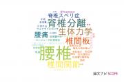 【論文データ】lumbar spine（腰椎）の国内研究動向まとめ