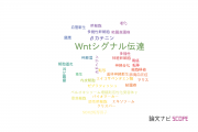 【論文データ】Wnt signaling（Wntシグナル伝達）の国内研究動向まとめ