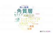 【論文データ】stratum corneum（角質層）の国内研究動向まとめ