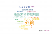【論文データ】sheath（外筒）の国内研究動向まとめ