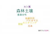 【論文データ】forest soil（森林土壌）の国内研究動向まとめ