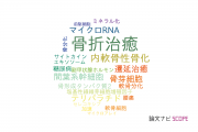 【論文データ】fracture healing（骨折治癒）の国内研究動向まとめ