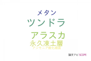 【論文データ】Tundra（ツンドラ）の国内研究動向まとめ