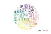 【論文データ】lower limb（下肢）の国内研究動向まとめ