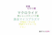 【論文データ】23S rRNAの国内研究動向まとめ