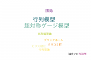 【論文データ】nonperturbative effectsの国内研究動向まとめ
