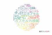 【論文データ】capsule（カプセル）の国内研究動向まとめ