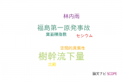 【論文データ】stem flow（樹幹流下量）の国内研究動向まとめ