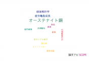 【論文データ】austenitic steel（オーステナイト鋼）の国内研究動向まとめ
