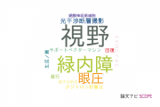 【論文データ】visual field（視野）の国内研究動向まとめ