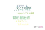 【論文データ】clear cell renal cell carcinoma（腎明細胞癌）の国内研究動向まとめ