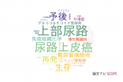 【論文データ】upper urinary tract（上部尿路）の国内研究動向まとめ
