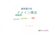 【論文データ】domain structure（ドメイン構造）の国内研究動向まとめ