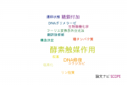 【論文データ】enzyme catalysis（酵素触媒作用）の国内研究動向まとめ