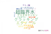 【論文データ】subcritical waterの国内研究動向まとめ