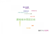 【論文データ】posterior lumbar interbody fusion（腰椎椎体間固定術）の国内研究動向まとめ