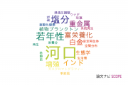【論文データ】estuary（河口）の国内研究動向まとめ
