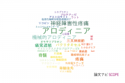 【論文データ】allodynia（アロディニア）の国内研究動向まとめ