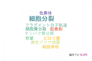【論文データ】FtsZの国内研究動向まとめ