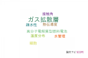 【論文データ】gas diffusion layer（ガス拡散層）の国内研究動向まとめ